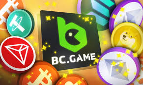 Understanding BC.Game's KYC and AML Verification Processes